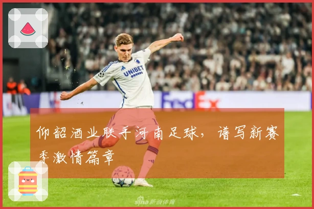仰韶酒业联手河南足球，谱写新赛季激情篇章