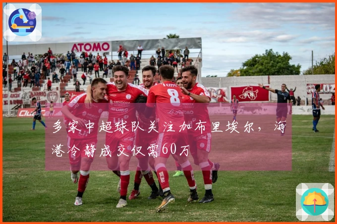 多家中超球队关注加布里埃尔，海港冷静成交仅需60万