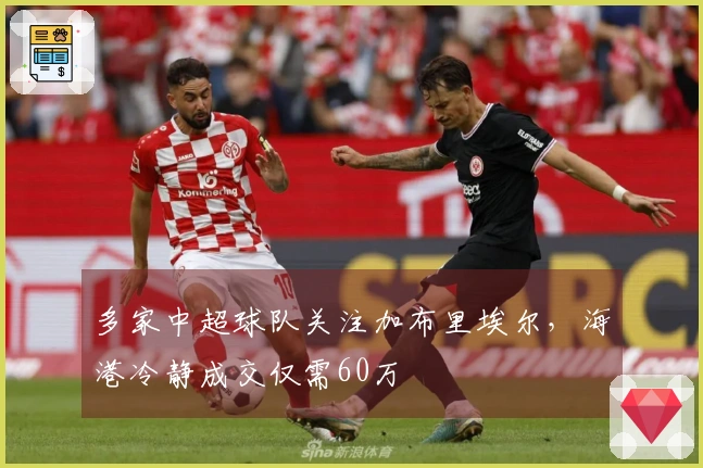 多家中超球队关注加布里埃尔，海港冷静成交仅需60万