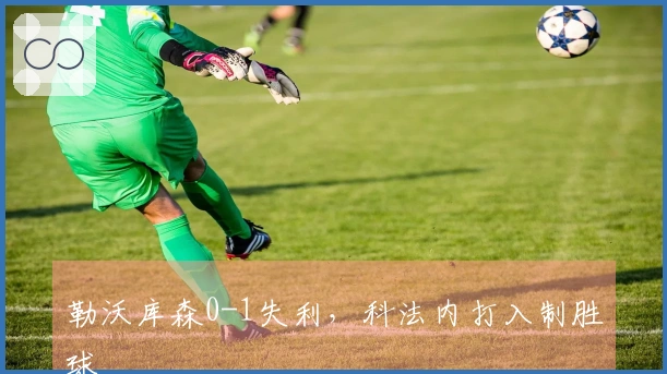 勒沃库森0-1失利，科法内打入制胜球