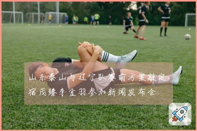山东泰山与辽宁队赛前方案敲定，宿茂臻李金羽参加新闻发布会