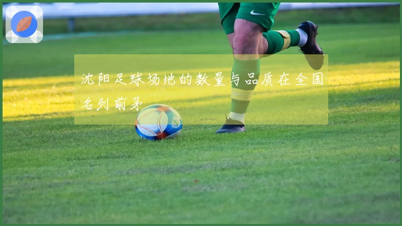 沈阳足球场地的数量与品质在全国名列前茅