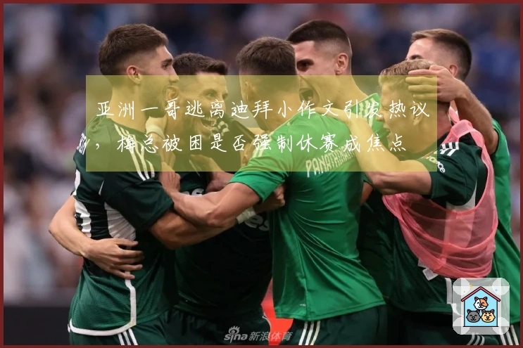 亚洲一哥逃离迪拜小作文引发热议，梅总被困是否强制休赛成焦点