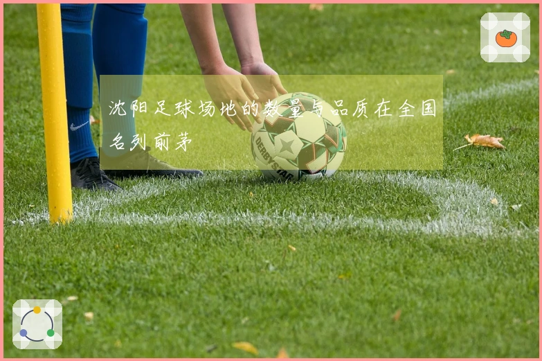 沈阳足球场地的数量与品质在全国名列前茅